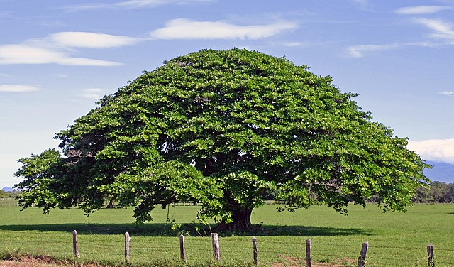 Annexation of Guanacaste