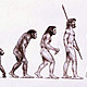 Evolution de l homme1