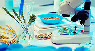 Toma de muestra de Encuesta