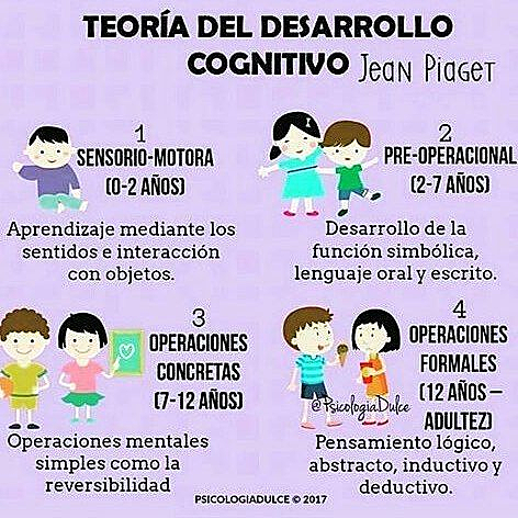 Periodos del desarrollo cognitivo