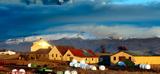 Noticing: Surprise and Perception