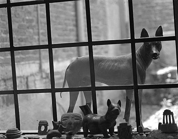 FOTOGRAFÍAS DEL SIGLO XX EN MÉXICO.