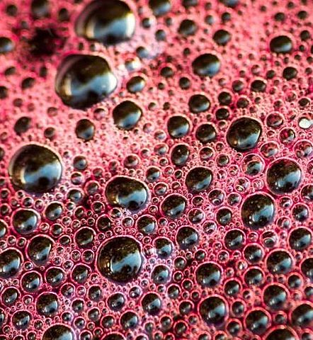 Burbujas de fermentación.