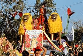 LA IMAGEN DE LA FIESTA. ESTANDARTES DE LA REGIÓN DEL ISTMO.