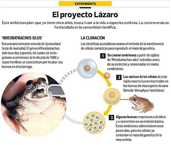 Clonación de un gen de una rana