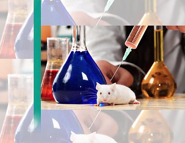 Se Patenta por Primera Vez un Organismo producido mediante Ingeniería Genética