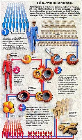 Clonación de Embriones Humanos