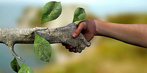 Fortalecimiento de la Política Nacional de Educación Ambiental
