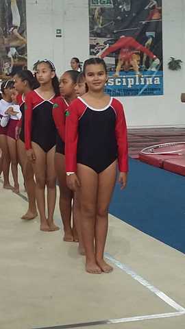 Gimnasia artistica