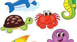 Timeline: ANIMALES ACUATICOS