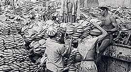 Timeline: P2Linea de tiempo masacre de las bananeras Michael Andres Mosquera/11-2