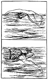 El decubrimiento  del estilo english overarm sidestroke