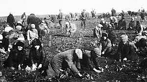 Famine begins in the USSR.