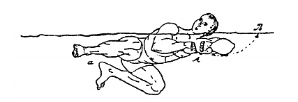 El underarm sidestroke