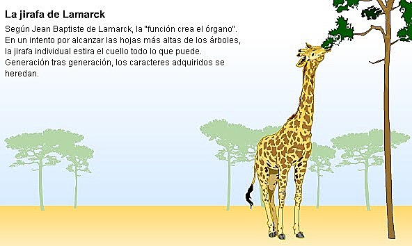 Los postulados de  Lamark