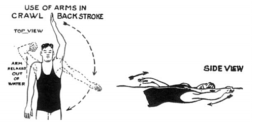 La espalda de Harry Hebner