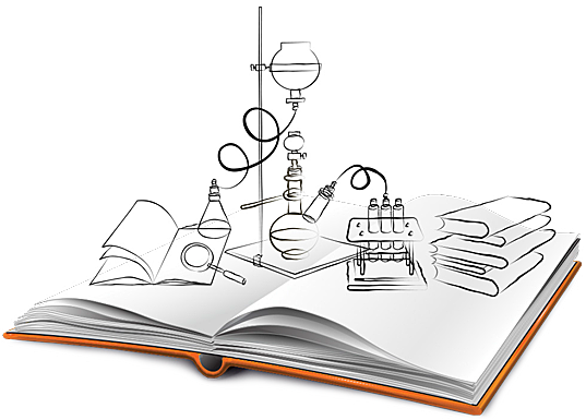 La regeneración (II)