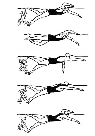 Avance del crol americano