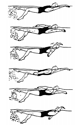 La espalda de Kiefer