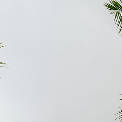 Timeline: Linea de tiempo docentes