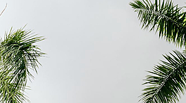 Timeline: Linea de tiempo docentes