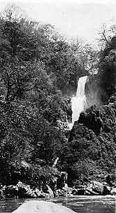 Creación del Dude Rancho Rodeo.