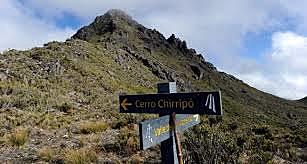 Creación del Área silvestre Chiripó.