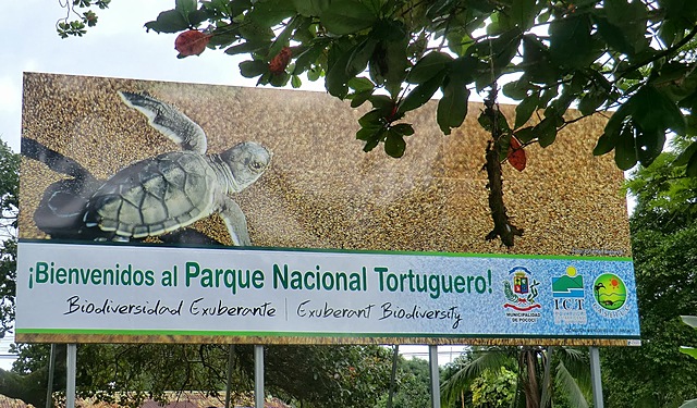 Creación del Área Silvestre Tortuguero.