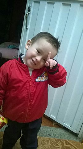 COMUNICATIVA - CUANDO INGRESE AL JARDIN