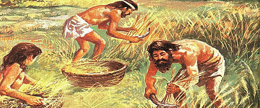 Formas de organización