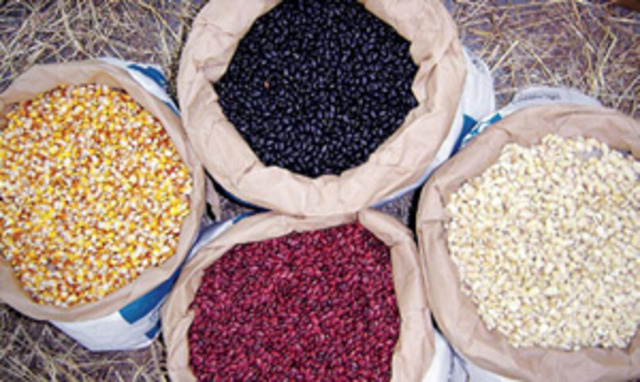 Gran bretaña elimina las leyes de los granos