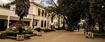 Consolidación universitaria