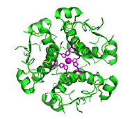 Aislamiento de la Insulina.