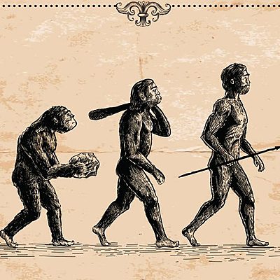 Timeline: Posturas de la evolución