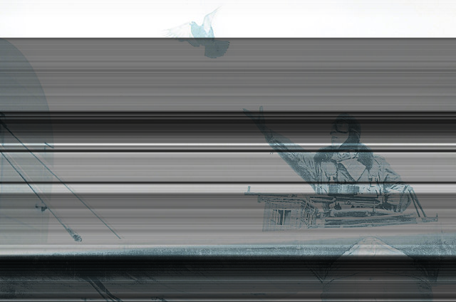 Las palomas alzan su vuelo por la historia.