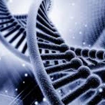 Timeline: Historia De La Ingeniería Genética. Karen Sofia Poveda, Oscar Fabia rey, 11.b