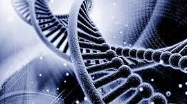 Timeline: Historia De La Ingeniería Genética. Karen Sofia Poveda, Oscar Fabia rey, 11.b