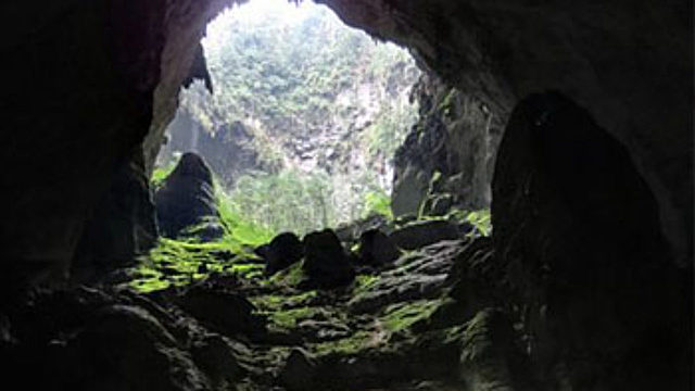 Vida en la cueva