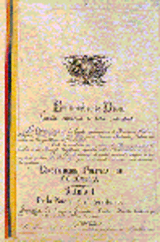 Vigencia de constitucion