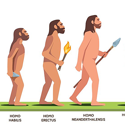 Timeline: Homo sapiens