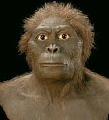 Australopithecus bahrelghazali