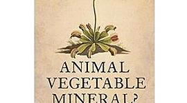 Timeline: Sistemas de sistemas viviente