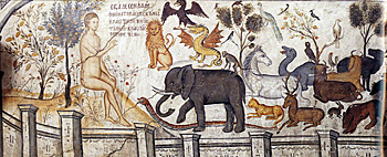 Carlos Linneo (Carl von Linné o Carolas Linnaesus)