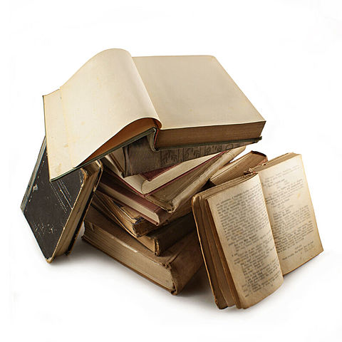 LEER Y LA LECTURA según Goodman