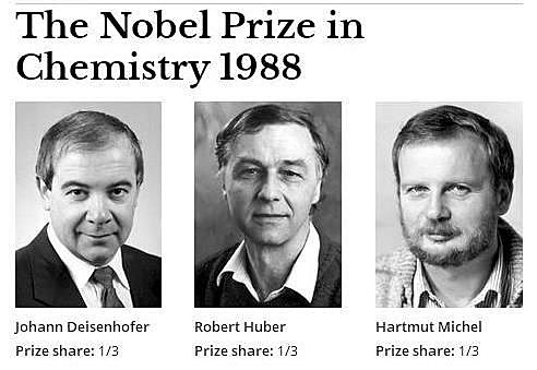 DEISENHOFER, HARTMUT Y  HUBER