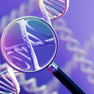 Timeline: ingeniería cinética a través de la historia