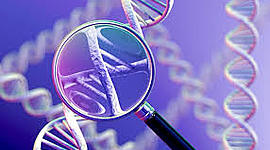 Timeline: ingeniería cinética a través de la historia