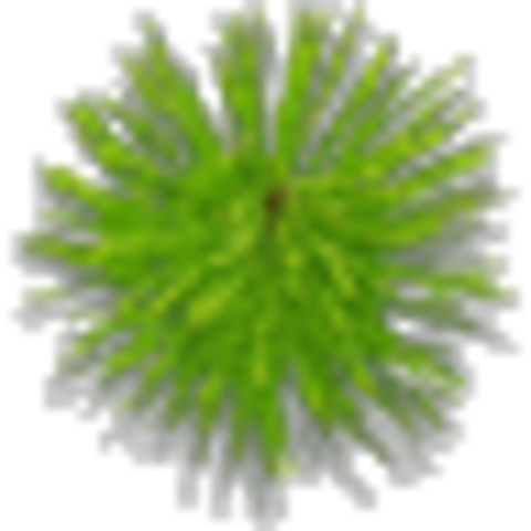 snow on cristmas eve