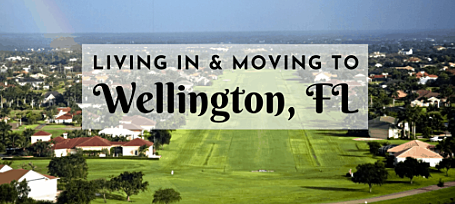 VOLVER A USA Y VIVIR SOLO 3 AÑOS