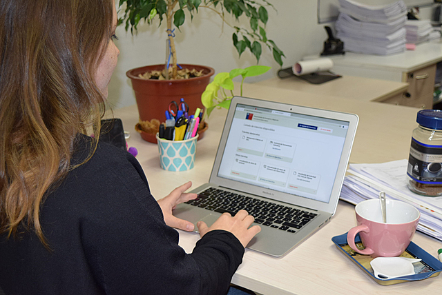 DEM continúa sumando trámites en línea